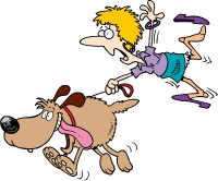 Dog walking