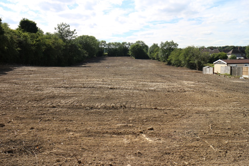 Land cleared