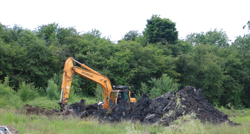 first dig June 2020